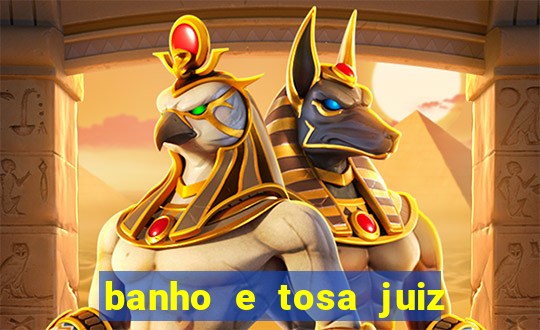 banho e tosa juiz de fora